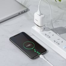 PTC HOCO charger USB 3A QC3.0 Fast Charge Special Single Portwith micro cable N3 white