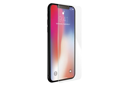 Apsauginis stiklas APPLE iPhone X (2.5D)
